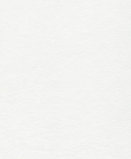 Da quali alberi viene prodotta la carta moderna?
